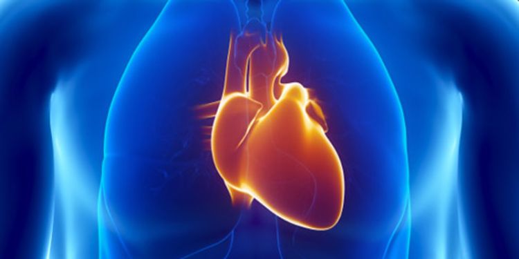 World first in AI helps scan heart disease patients to predict heart attacks and stroke