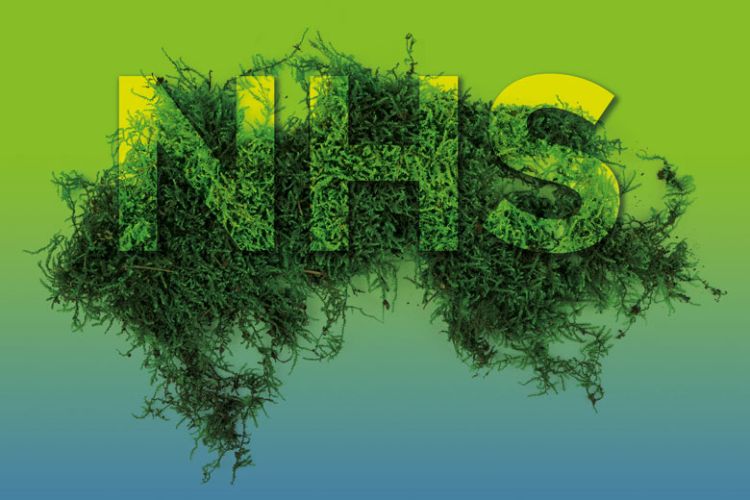 Student nurses lead the climate conversation for the profession