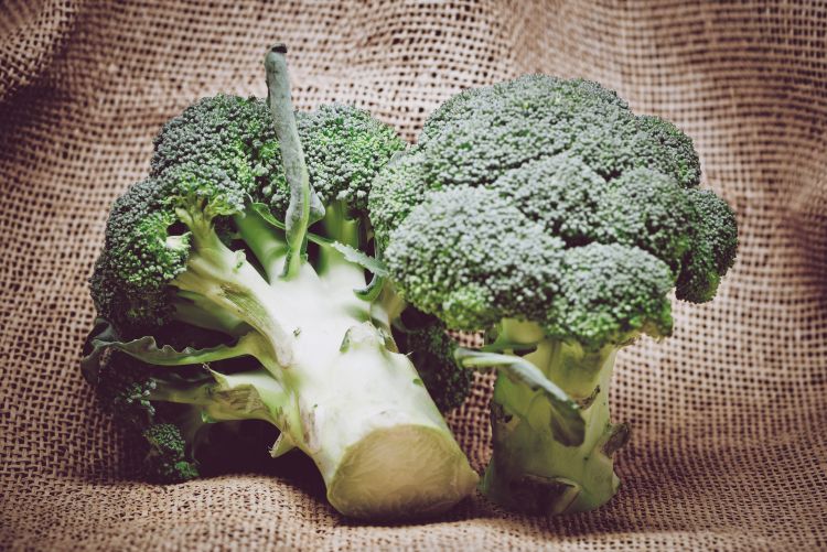 Food texture’s influence on “feeling fuller for longer”