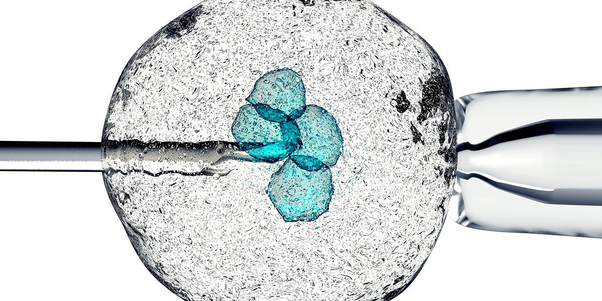 Regenerative medicine at the University of Leeds