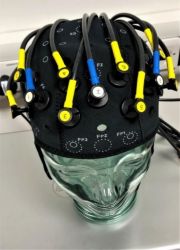 New smaller brain pic1