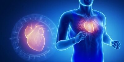 Computerised human body with the heart highlighted
