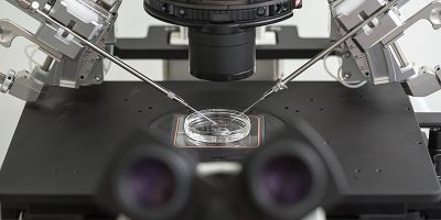 IVF treatment 800x400 stock image