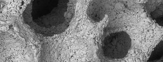 Dentistry biomaterial and tissue engineering at the university of Leeds