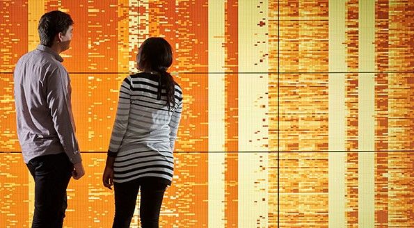 Epidemiology data wall