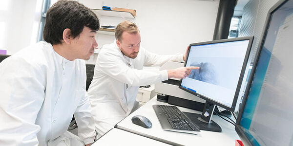 Dentistry student working on computer