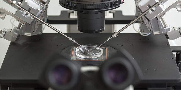 IVF stock photos