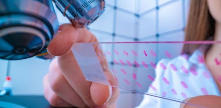 Study reveals inequalities in cancer research