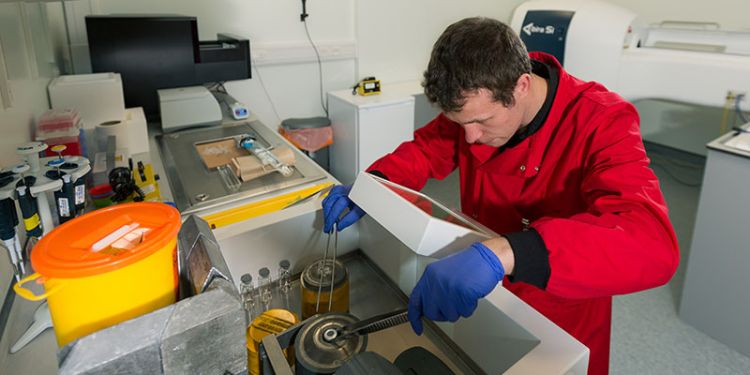 Example image dispensing pet