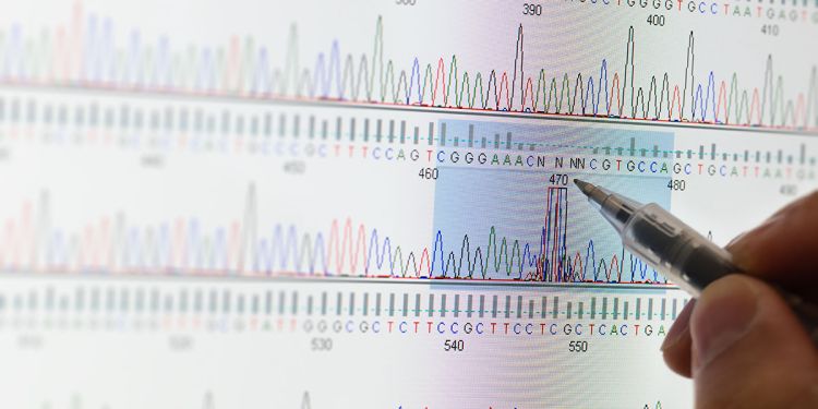 Research grant will aid in understanding microbiomes' roles in bowel cancers