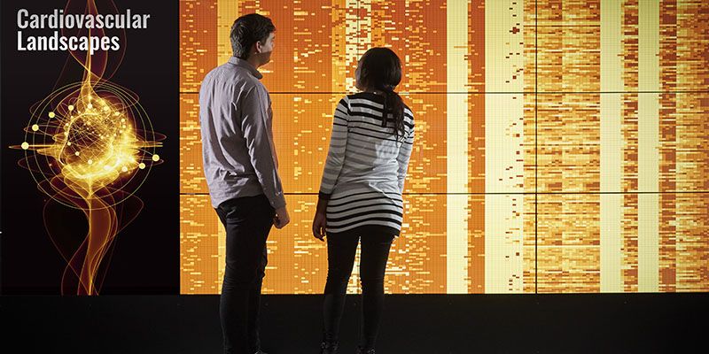 Cardiology epidemiology powerwall 800