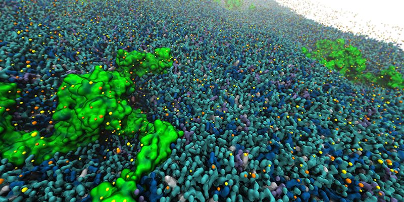 rendering of Lipids and ions channels