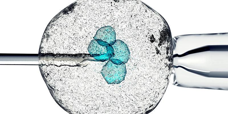 Cell is holding by a pipet and a needle representing research into regenerative medicine