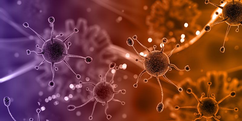cells under microscope representing INFECTION AND ANTIMICROBIAL RESISTANCE